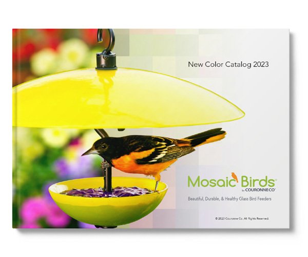 Brochure 1